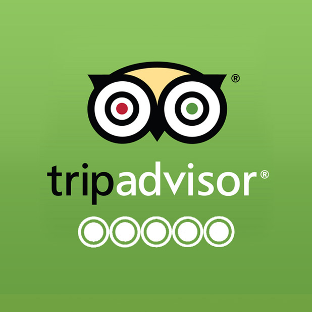 Magical Gorilla Adventures TripAdvisor