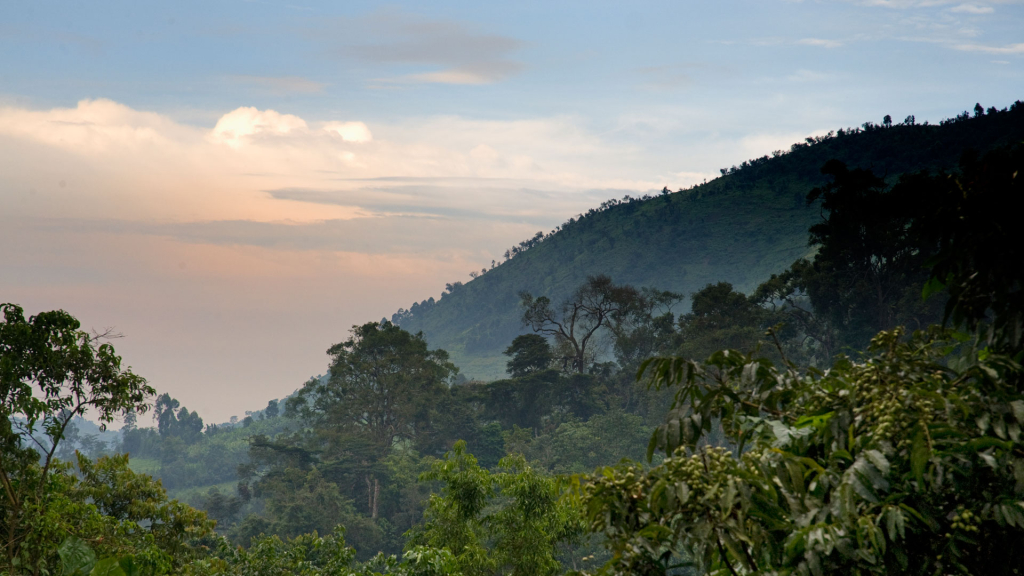 Detailed 3-Day Bwindi Mgahinga Tour Itinerary