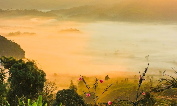 12 Days Epic Uganda Safari