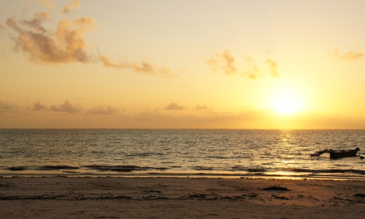 30-Day Maximum Adventure in East Africa: Explore Wildlife, Culture & Natural Wonder