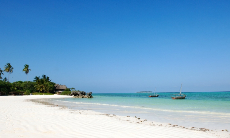 Rwanda Gorilla Trekking & Zanzibar Beach Holiday