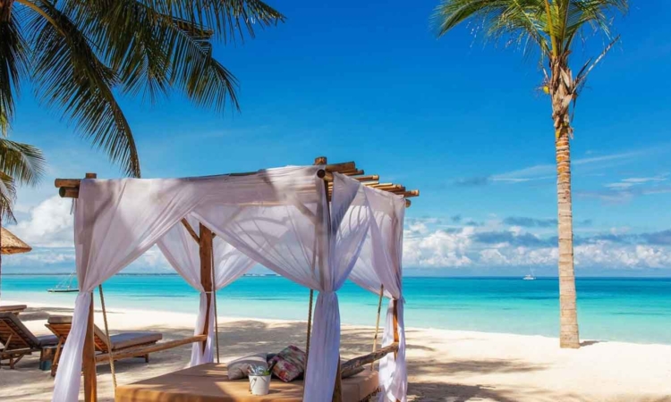 7 Days Uganda Gorilla Trekking & Zanzibar Beach Holiday