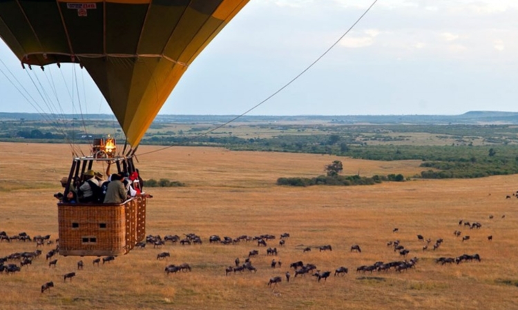 8 Days Uganda Gorilla Trekking & Serengeti National Park Wildlife Safari