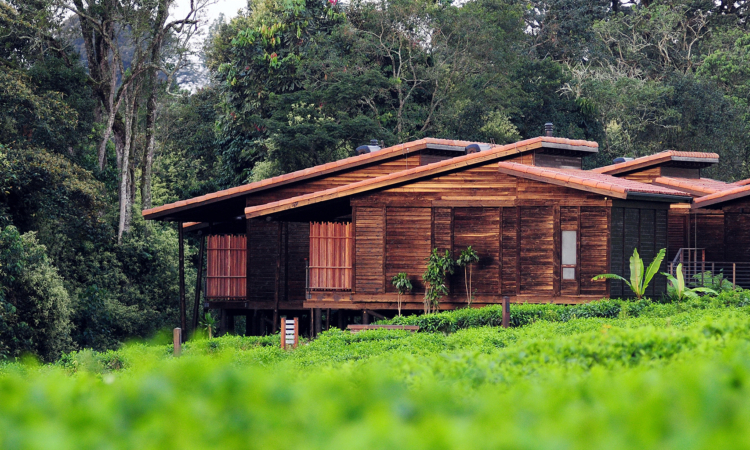 10 Days Rwanda Primates Trekking & Zanzibar Beach Safari