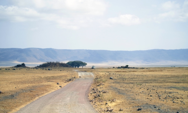 4 Days Tanzania Camping Safari to Serengeti & Ngorongoro