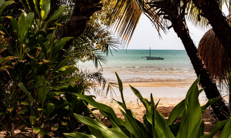 Mozambique experiences