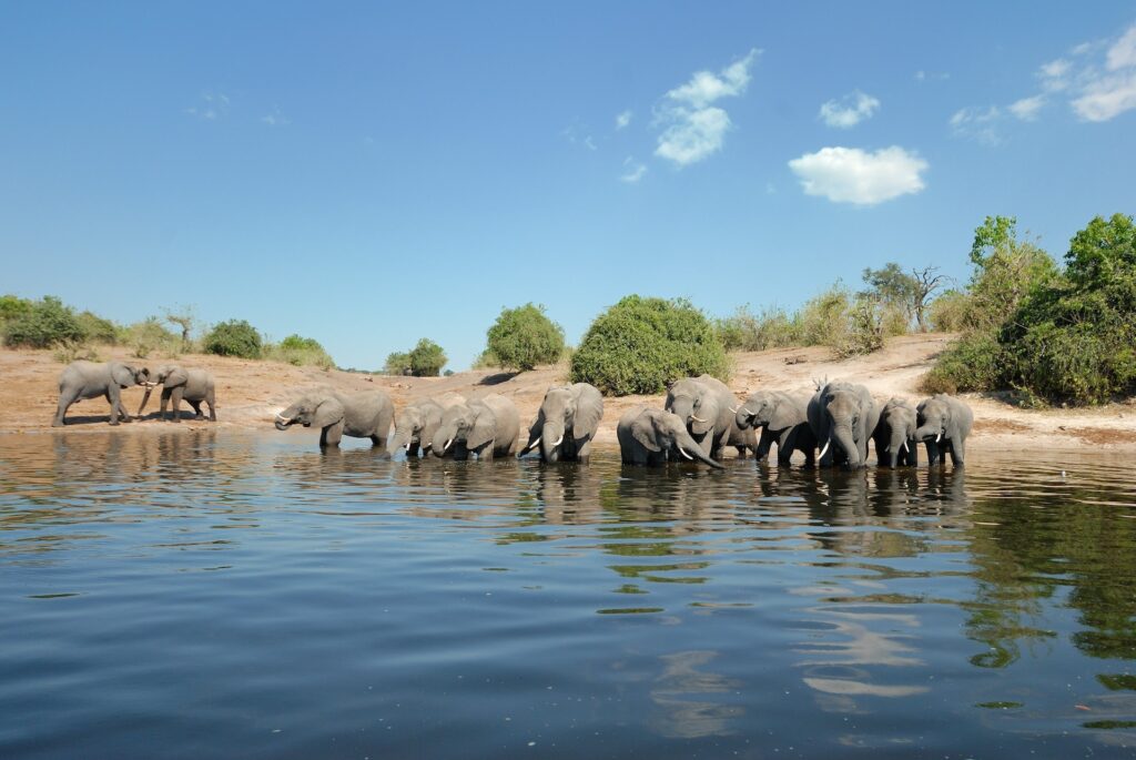 Detailed 3-Day Botswana Safari Itinerary