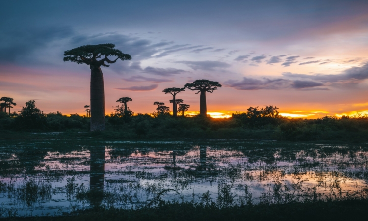 6-Day Madagascar Honeymoon - Anjajavy Lemur & Beach Adventure