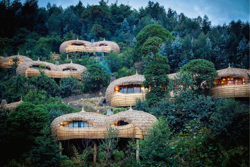3-Day Luxury Rwanda Gorilla Tour Highlights