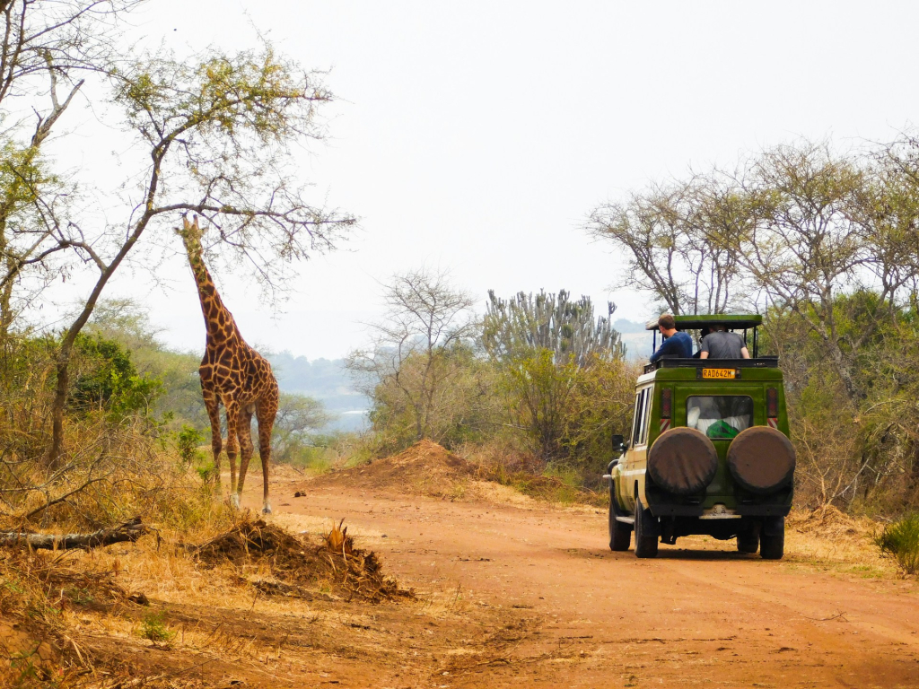 Detailed 3-Day Akagera Wildlife Safari Itinerary