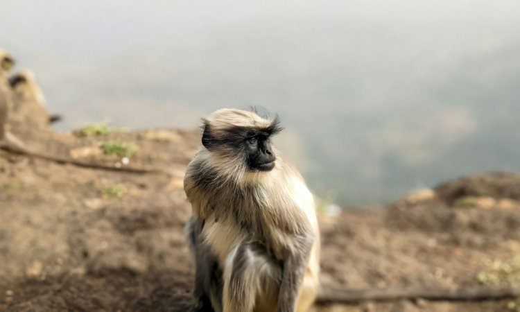 Ethiopia Tours & Trips