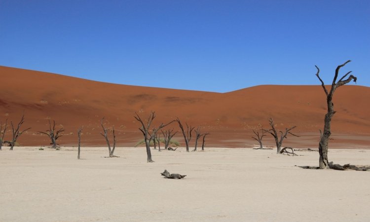 Namibia Safaris & Tours